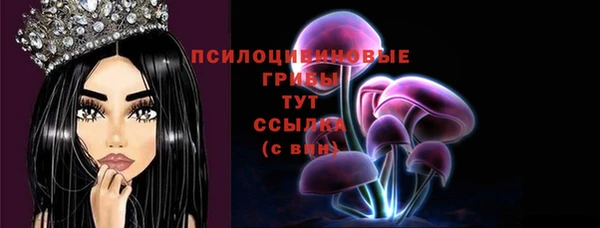 шишки Абинск