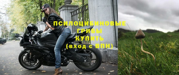 шишки Абинск