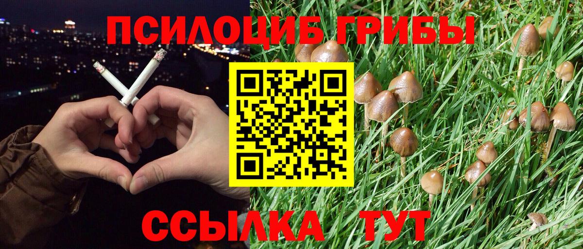 Галлюциногенные грибы мицелий Кумертау